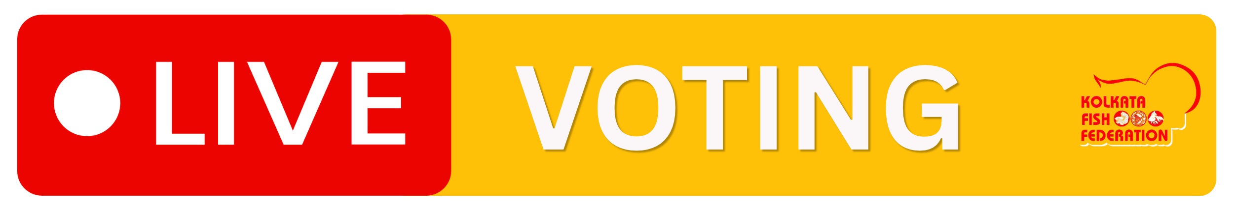 Voting