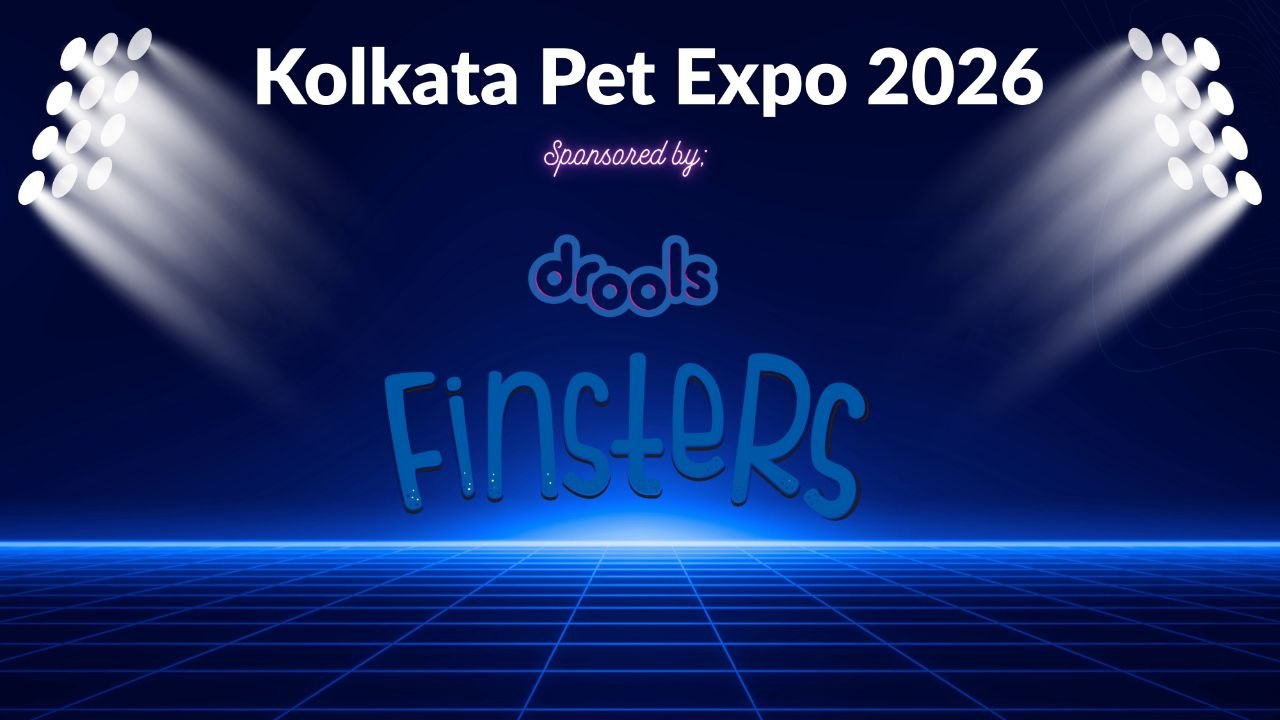 KFF Expo Sponser